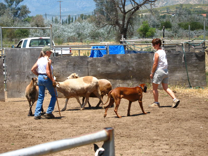 Proper technique is demonstrated.