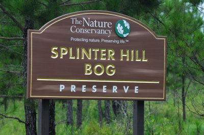 Splinter Hill Bog