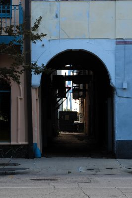 DSC_8187A.jpg