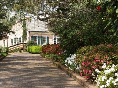 Maclay Gardens