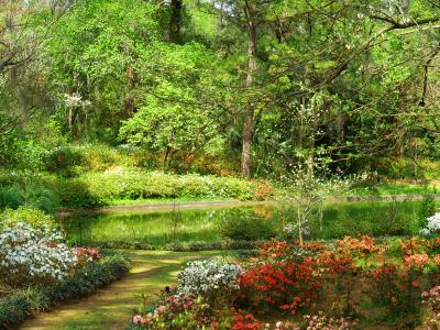 Maclay Gardens Pond