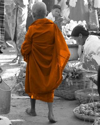 Color Monk