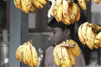 Banana stand