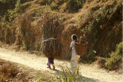 Gathering wood