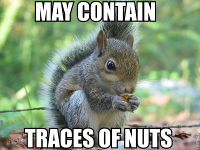 tracesofnuts.jpg