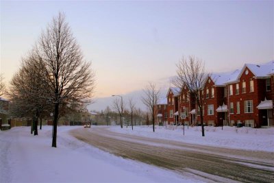 Winter scene in Toronto