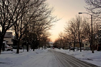 Side Road in Winter