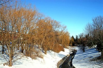 Clear sky in winter