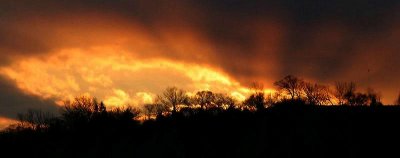 Evening cloud on fire