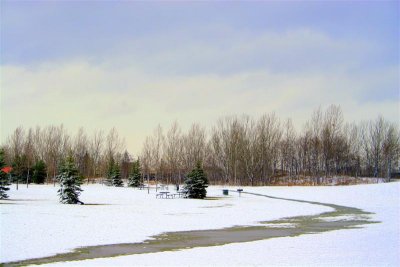 Snow covered park # 3