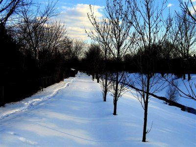 Snow Covered Path