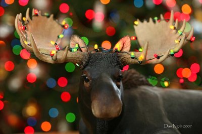 Another Merry Chris-Moose to You!