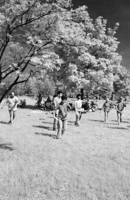 Tai Chi  day 2012 - Parco Nord Milano