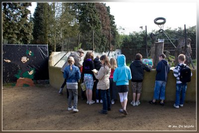 Kinderfeest Olmense zoo