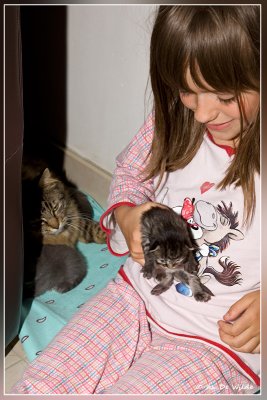 g4/36/73936/3/134738829.2ZY15P1J.jpg
