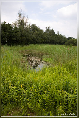 _MG_5355kopie.jpg