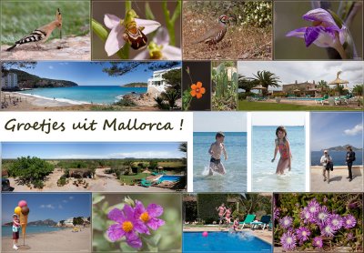 Mallorca kaartje