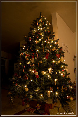 Kerstboom 2011