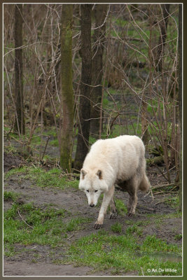 _MG_2843kopie.jpg