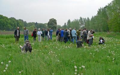 groep in aktie in de weide