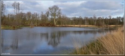 pano 535+536kopie.jpg