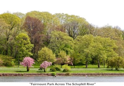 017  Fairmount Park Across The Schuylkill River.JPG