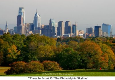 193  Trees In Front Of The Philadelphia Skyline.JPG