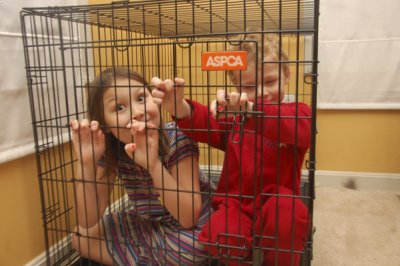 I think the wrong animals are in the crate