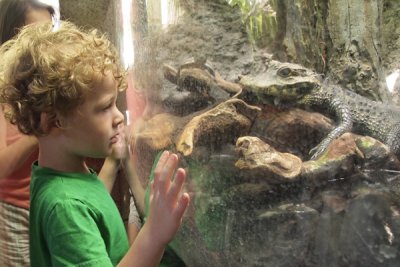 Liam staring down a Croc