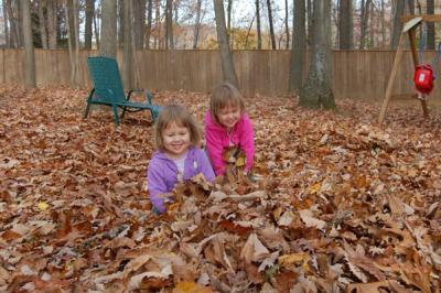 Playing in the leaves