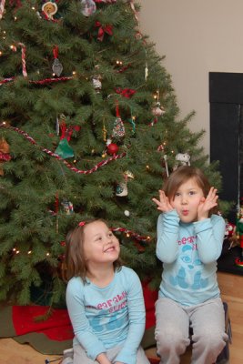 Reagan being silly before taking the tree down