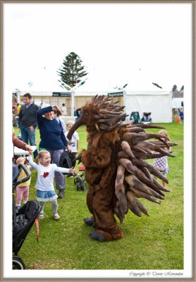 PORT FAIRY MUSIC FOLK FESTIVAL 2012