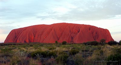 Ayres Rock- Uluru