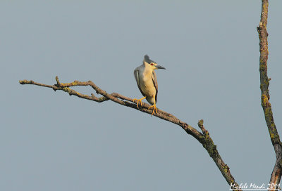 May - June 2011