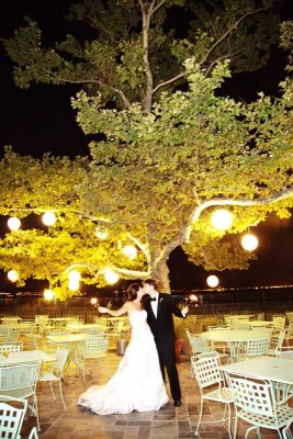 Vanessa & Scott Wedding Highlights