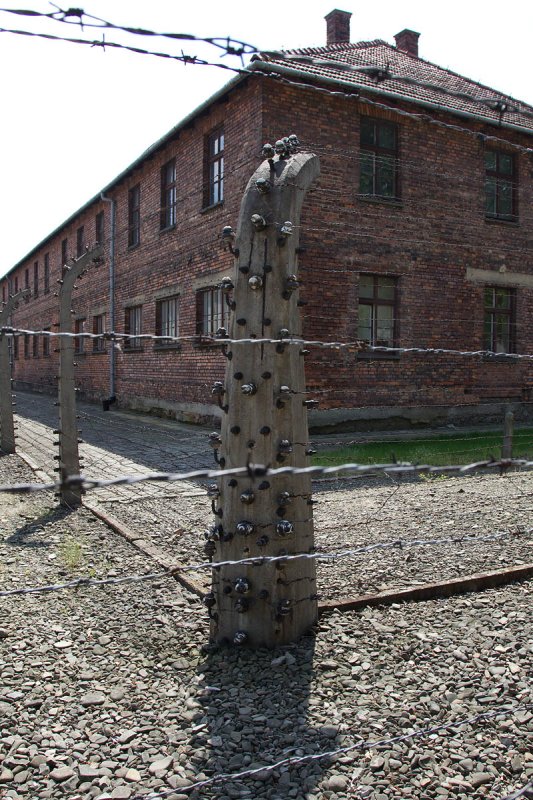 auschwitz polen 8-05-2012 10.jpg