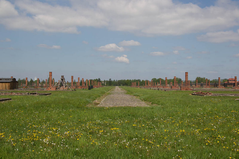auschwitz polen 8-05-2012 16.jpg