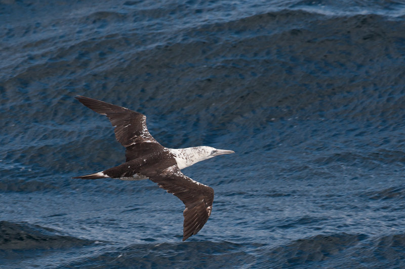 jvg biskay 24-08-2012 7.jpg