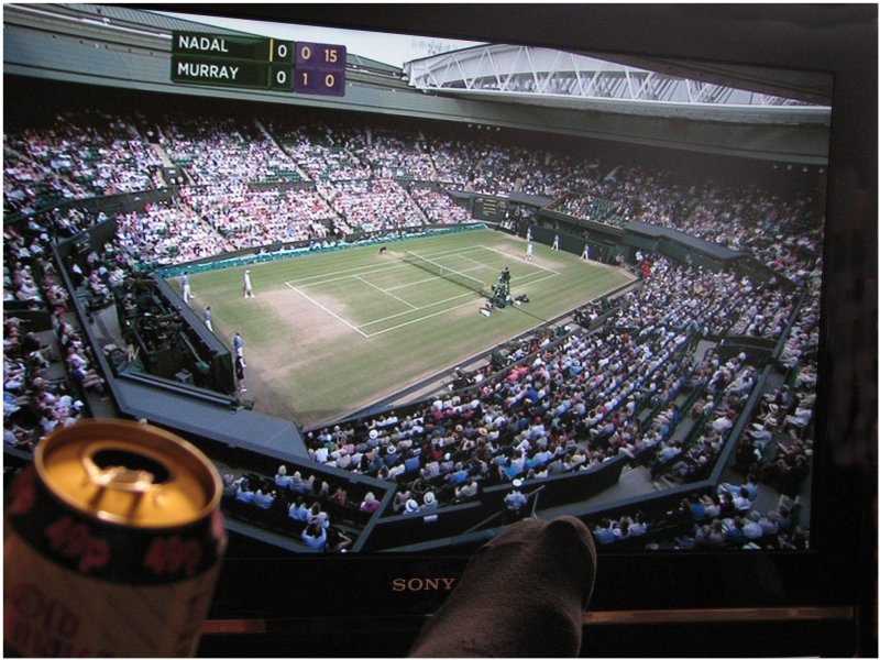 Cheap seat.Wimbledon 2011.jpg