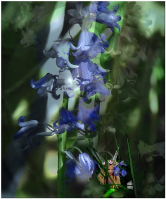 Bluebell impression.jpg