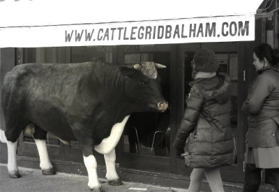Cattlegrid.Balham. South London.jpg