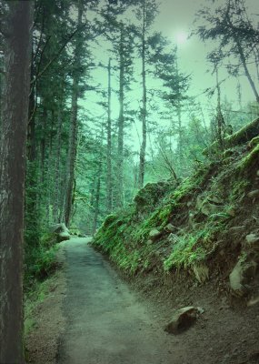 the path.Oregon.jpg