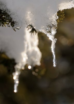 Spring Thaw