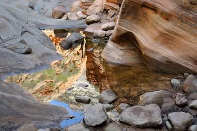Reflections of Zion