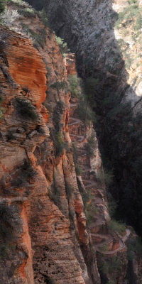 Zion NP Gallery