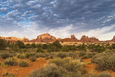 Needles District