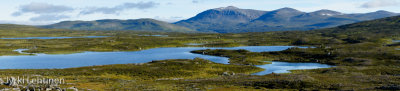 DSC03335_small.jpg