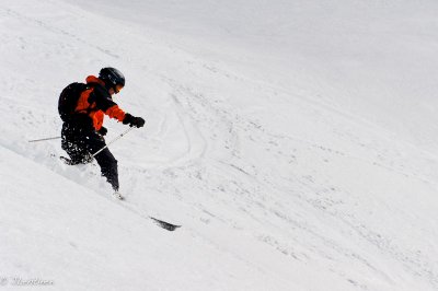 DSC04715_small.jpg
