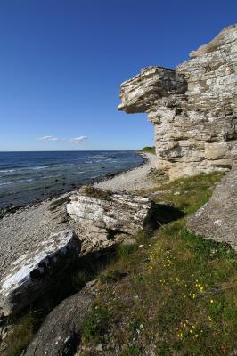 PICT2507_1.jpg