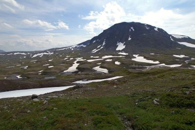 PICT3248_1.jpg